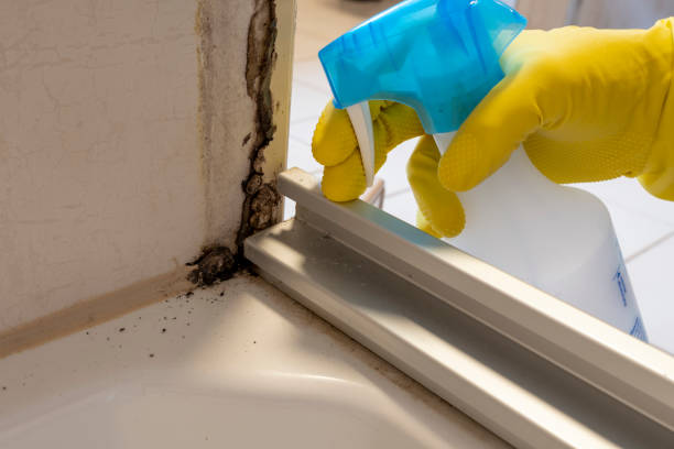 Best Crawl Space Mold Removal  in Monessen, PA