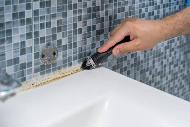 Best Toxic Mold Removal  in Monessen, PA