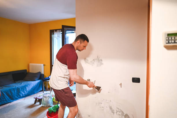 Best Mold Cleaning Services  in Monessen, PA