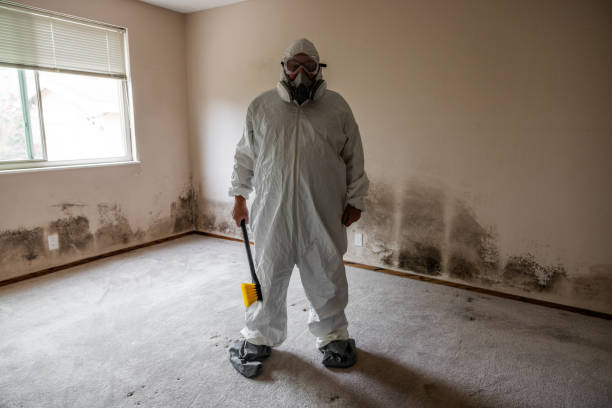 Trusted Monessen, PA Mold Removal Experts